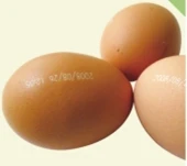 Может ли лазерная маркировка непосредственно на продуктах питания?